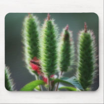 Pussywillow Mousepad