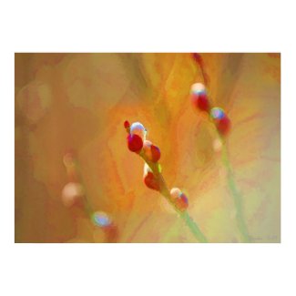 pussywillow print