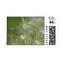 Pusteblume postage by gabii40 Pusteblume postage