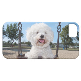Put In Your Own Photo iPhone 5 Case