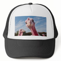 Put my head where? trucker hat