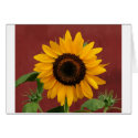 Put on a happy face! cards