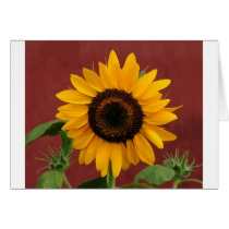 Put on a happy face! cards by lover196969 Put on a happy face! cards