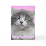 Put on a Happy Face   Kitten Greeting Cards