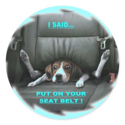 Seat Belt Sticker