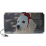 Put your cute dog photos on a speaker speakers