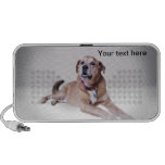 Put your dog on a doodle speakers