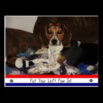 Put Your Left Paw In! postcards