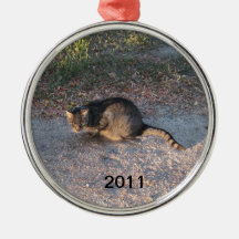 Put Your Pet on the Tree with an Ornament