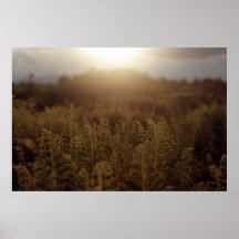 Putney Mountain Sunset Poster