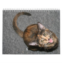 Puttytats calendars