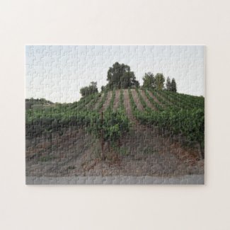 Puzzle: Aron Hill Vineyard in Late August puzzle