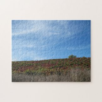 Puzzle: Autumn in Wine Country, Paso Robles, CA puzzle
