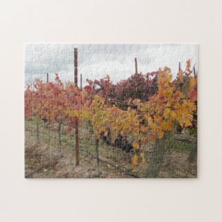 Puzzle: California Vineyard before Harvest in Nov puzzle