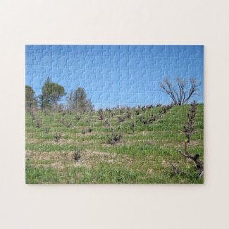 Puzzle: Dormant Vineyard in February with Trees puzzle