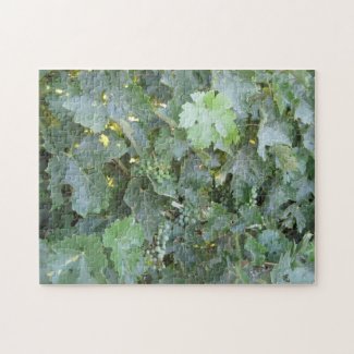Puzzle: Green Grapes on the Vine puzzle