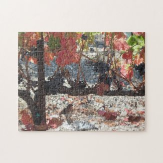 Puzzle: Hummingbird in Vineyard in Paso Robles, CA puzzle
