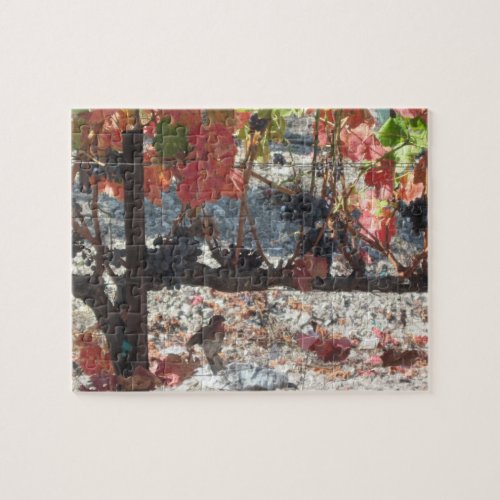 Puzzle: Hummingbird in Vineyard in Paso Robles, CA puzzle