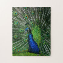 Puzzle Me This ~ Peacock puzzles