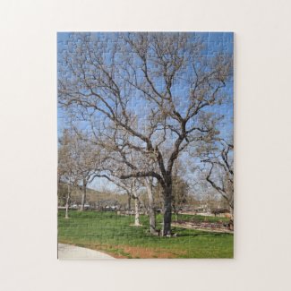 Puzzle: Oak Trees at Atascadero Lake Park, CA Jigsaw Puzzle