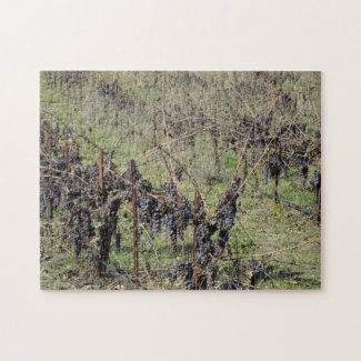 Puzzle: Unharvested Grapes after Frost puzzle