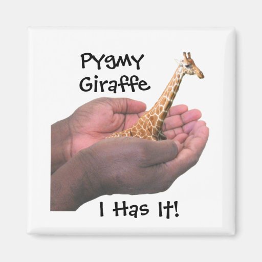 Pygmy Giraffe Refrigerator Magnets