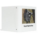 Pygmy Goat Binder