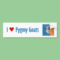 Pygmy Goat Bumper Sticker bumper stickers
