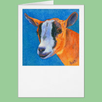 Pygmy Goat Card cards