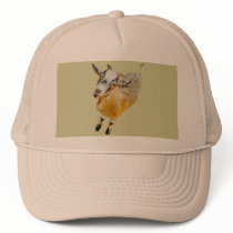 Pygmy Goat hats