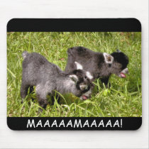 Pygmy goat kids. MAAAAAMAAAAA! mouse pad mousepads by quacked Pygmy goat kids. MAAAAAMAAAAA! mouse pad mousepads