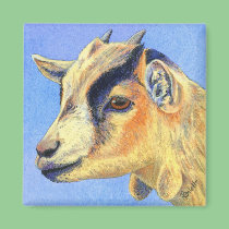 Pygmy Goat Magnet - "Sunny Goat" magnets