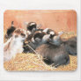 Pygmy Goat Mouse Mat