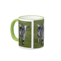 Pygmy Goat Mug