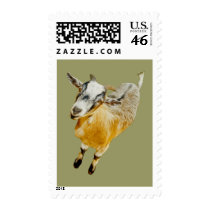 Pygmy Goat US Postage Stamp