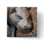 Pygmy Hippo buttons
