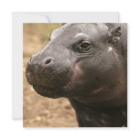 Pygmy Hippo Invitations