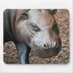 Pygmy Hippo mousepads