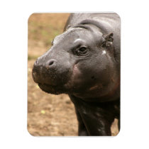 Pygmy Hippo Premium Magnet