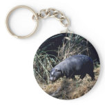 Pygmy Hippo-small calf keychains