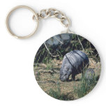 Pygmy Hippo-small calf keychains
