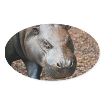 Pygmy Hippo Sticker