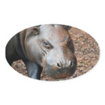 Pygmy Hippo stickers