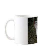 Pygmy Kid mugs by slaxelson Pygmy Kid mugs