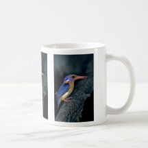 Pygmy Kingfisher Mug