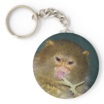 pygmy marmoset10x10 keychains