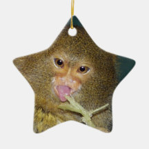 Pygmy Marmoset Christmas Ornament