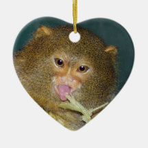 Pygmy Marmoset Christmas Ornament