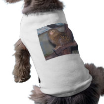 Pygmy Marmoset Portrait pet clothing by thekingchivas Pygmy Marmoset Portrait pet clothing