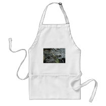 Pygmy Nuthatch Apron